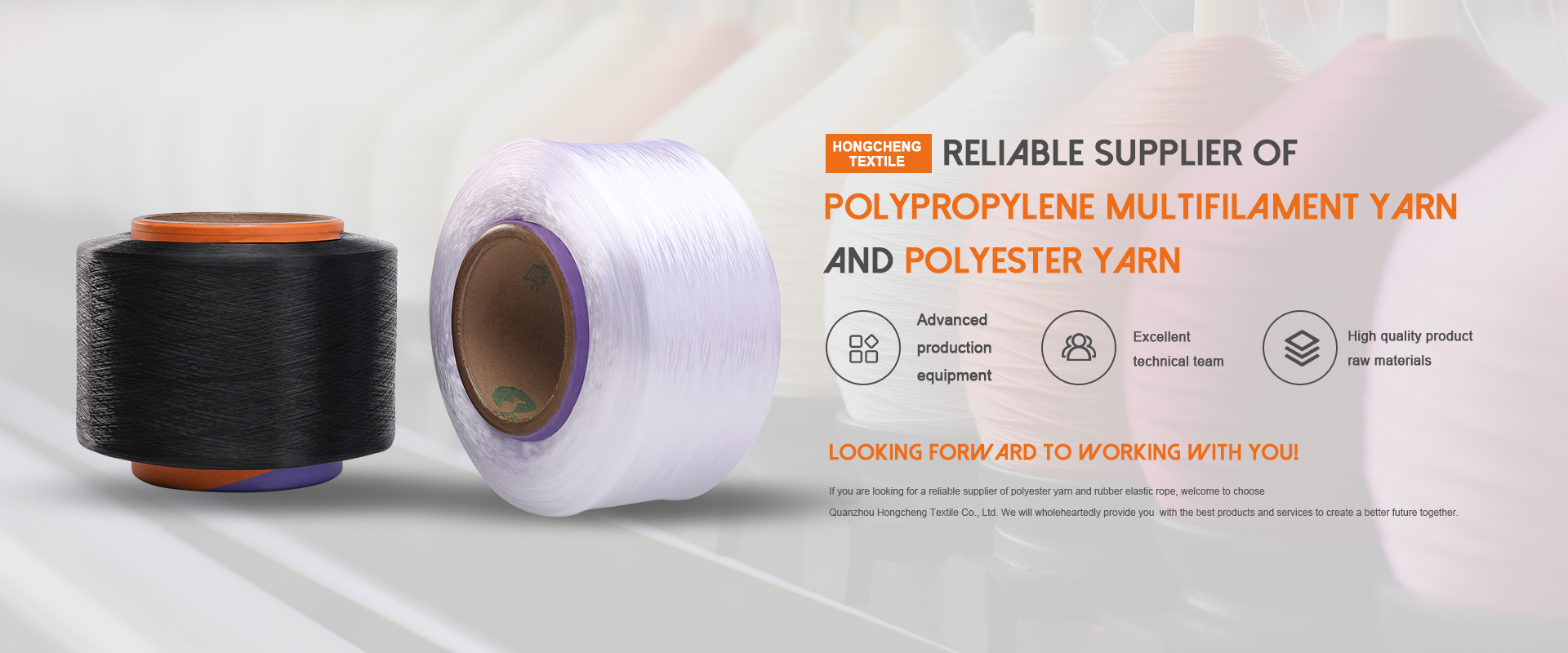 Supplier ng China Polypropylene Twisted Yarn