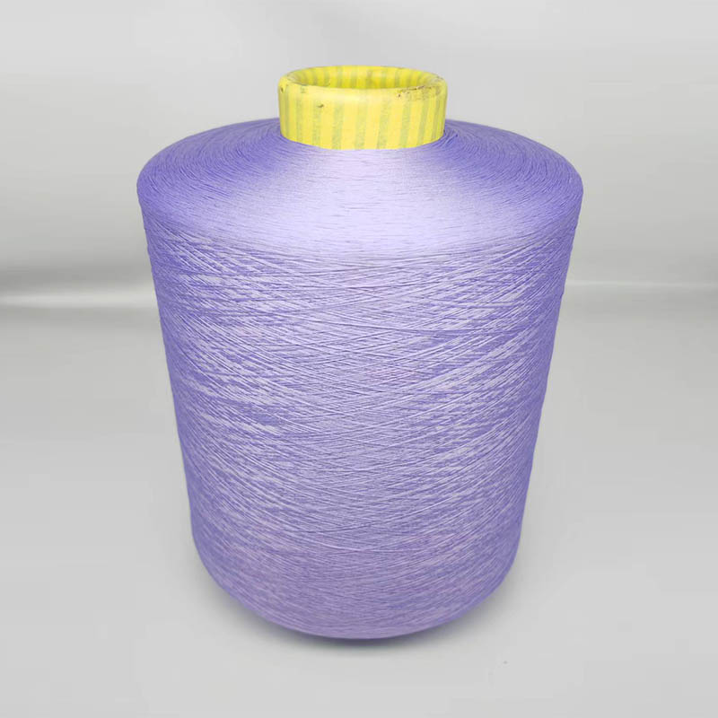300D/96F Polyester Yarn